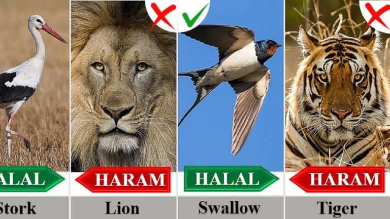 Hewan yang haram dalam al quran