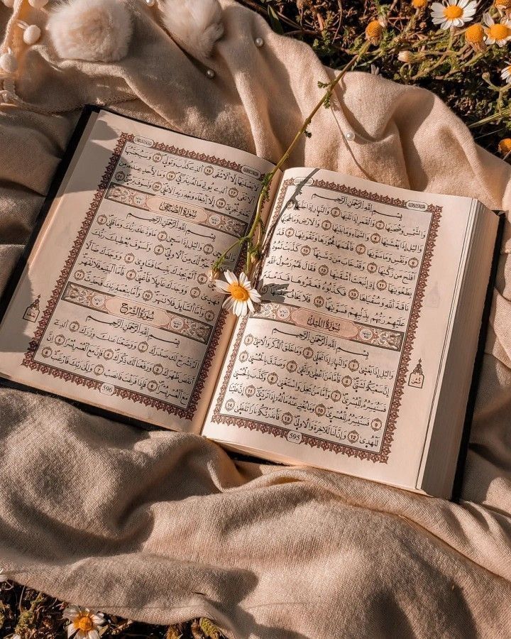 Surah surga al quran