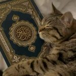 Sabarnya rosul dalam menghadapi fitnah