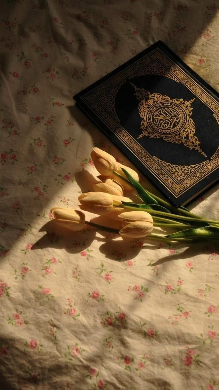 Surah Populer untuk Gen Z Panduan Iman di Era Digital